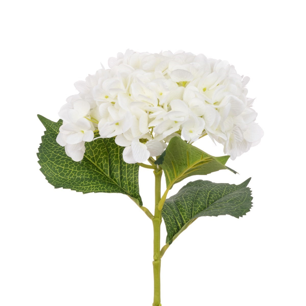 Hydrangea Stem White 65cm