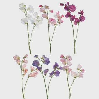 Sweet Pea Spray Assorted