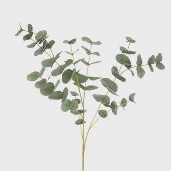 Eucalyptus Green Spray 90cm