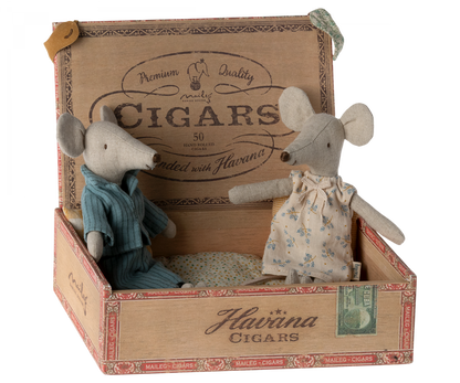 Mum and Dad Mice in Cigar Box 2023