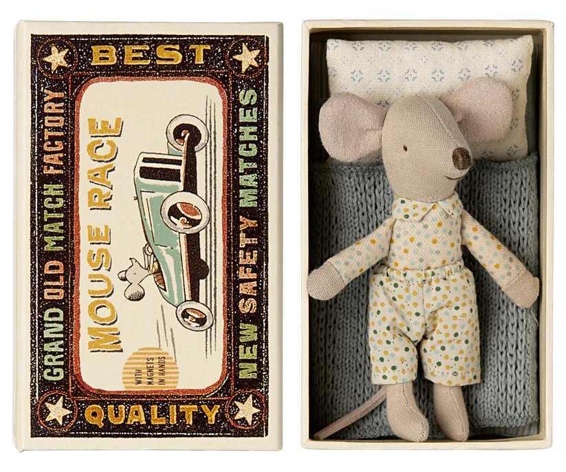 Little brother mouse in matchbox