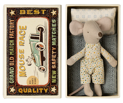 Little brother mouse in matchbox