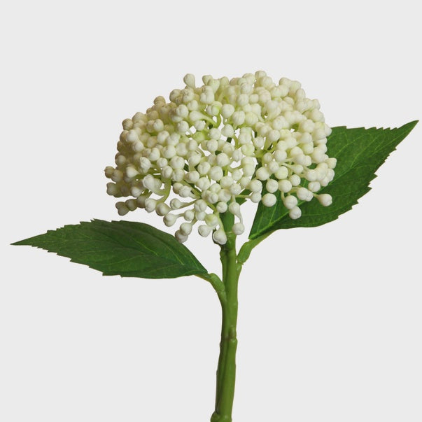 Hydrangea Buds  Cream 32cm